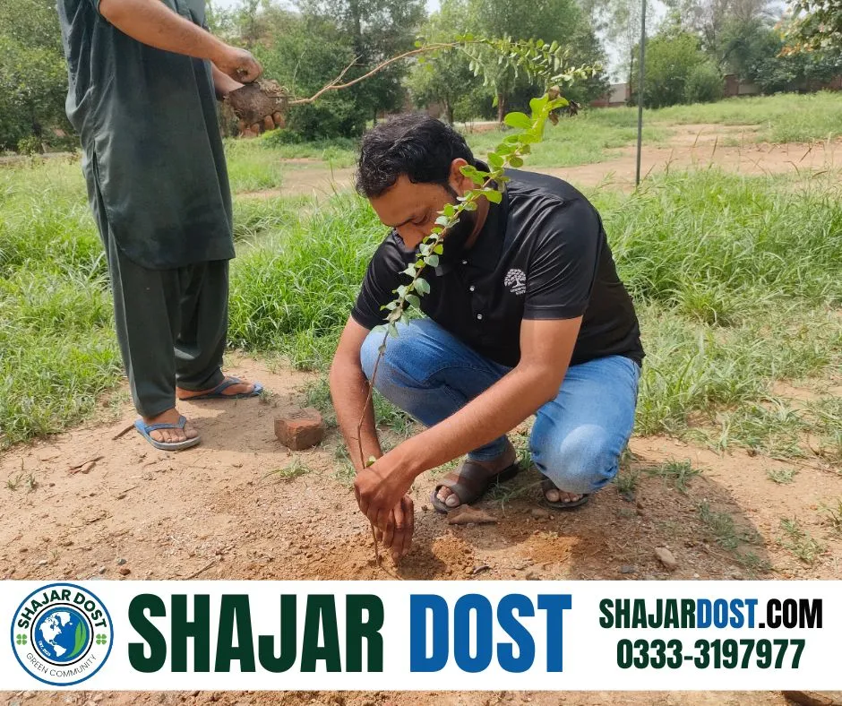 Green Seekers Activity